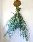 Eucalyptus Breeze Shower Steamer