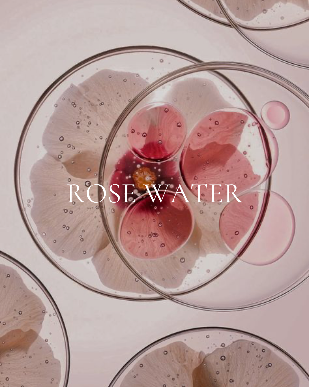 Rose Water