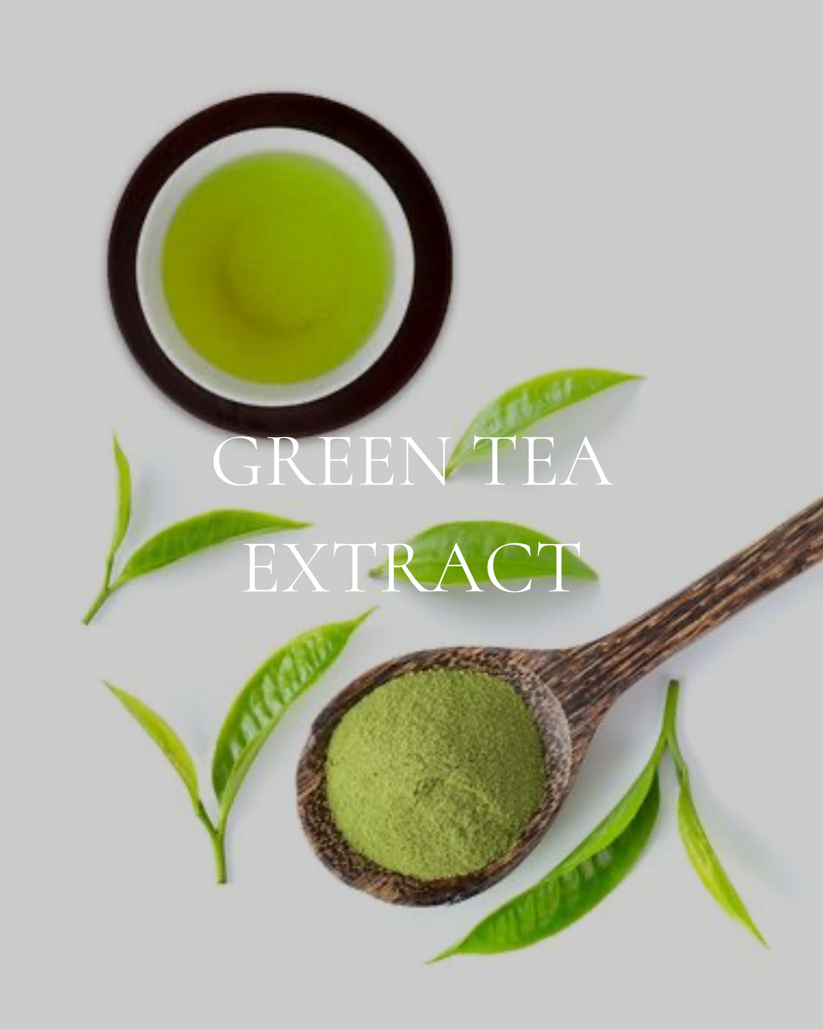 Green Tea Extract