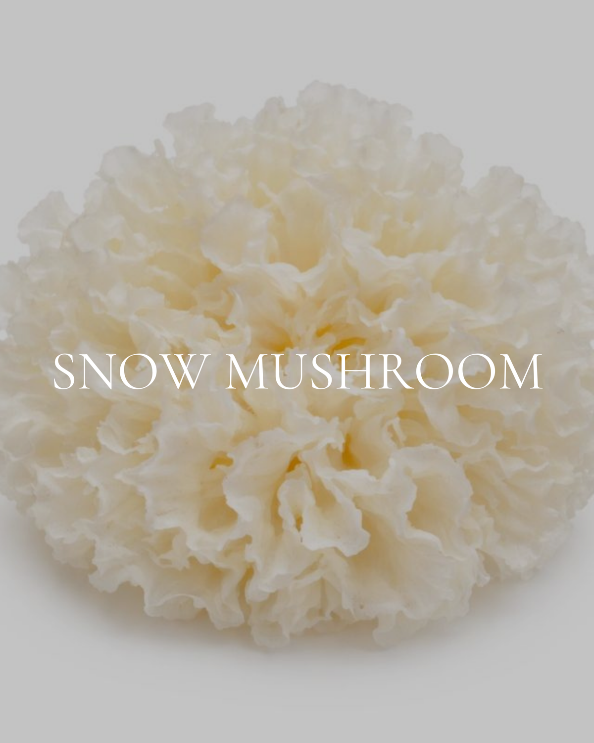 Snow Mushroom